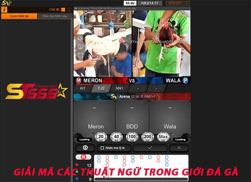 Giải mã các thuật ngữ trong giới đá gà