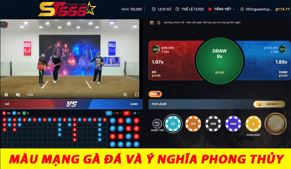 Màu Mạng Gà Đá Và Ý Nghĩa Phong Thủy